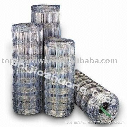 bird cage wire mesh